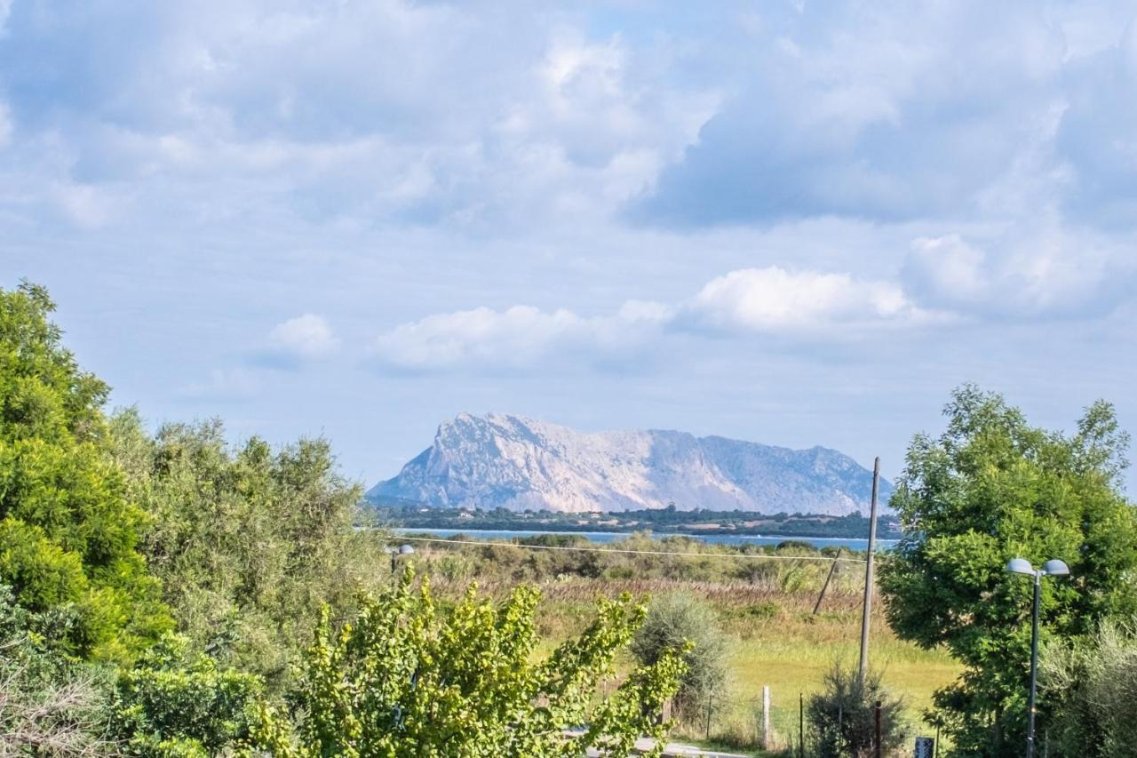 Iss Travel, Pedra Rosa 2 Bedroom Apartments With Private Terrace And Air Conditioning San Teodoro  Buitenkant foto